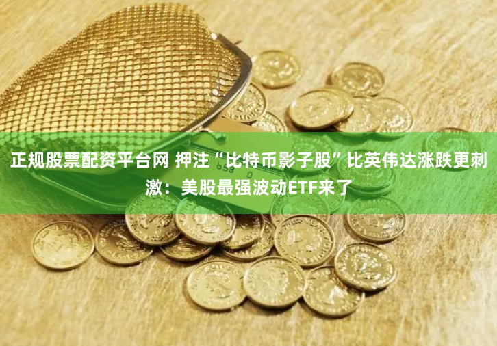 正规股票配资平台网 押注“比特币影子股”比英伟达涨跌更刺激：美股最强波动ETF来了