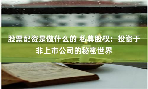 股票配资是做什么的 私募股权：投资于非上市公司的秘密世界