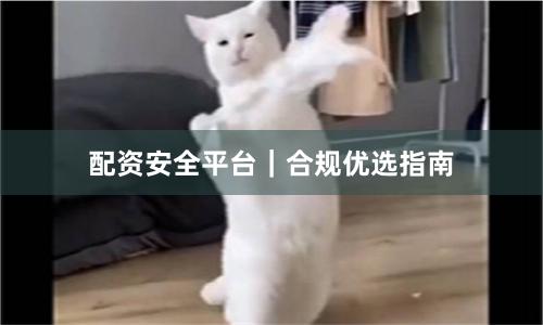配资安全平台|合规优选指南